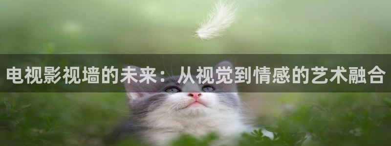 谁的青春不迷茫免费观看西瓜：电视影视墙的未来：从视觉到情感的艺术融合