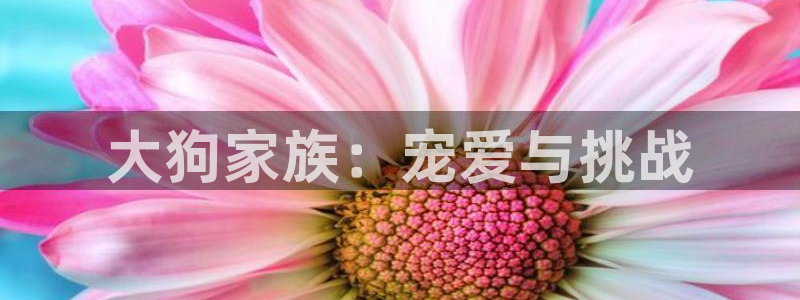 锦绣未央免费观看完整版西瓜：大狗家族：宠爱与挑战