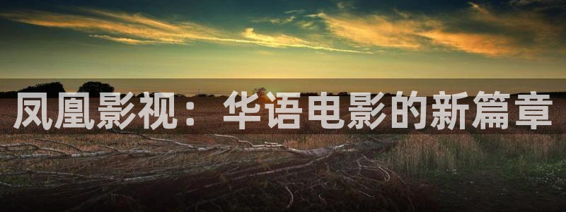 2025最新电影西瓜天狼影视在线观看：凤凰影视：华语电影的新篇章