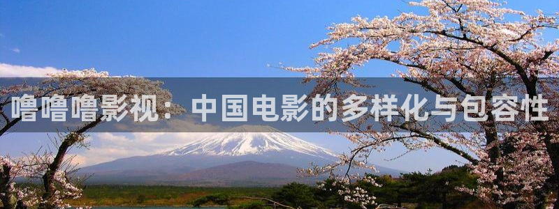 大漠高墙全集在线观看完整版西瓜