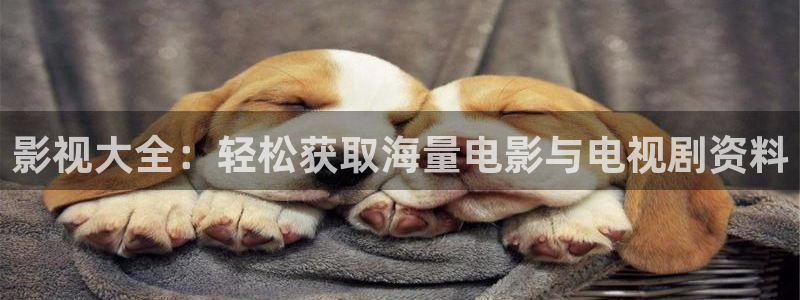 潜伏在线西瓜：影视大全：轻松获取海量电影与电视剧资料