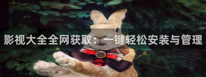 西瓜影视看电视剧：影视大全全网获取：一键轻松安装与管理