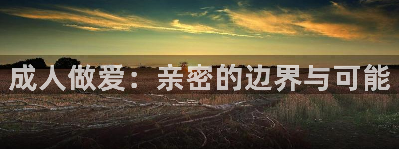 影音西瓜：成人做爱：亲密的边界与可能