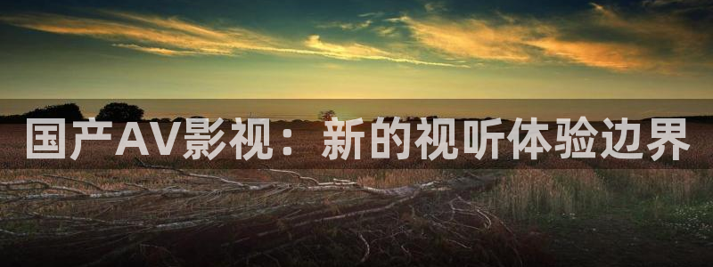 暗黑者第一季西瓜免费观看：国产AV影视：新的视听体验边界