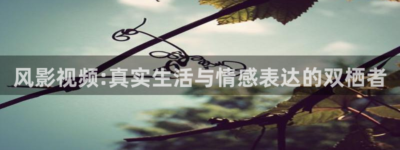 西瓜观影：风影视频:真实生活与情感表达的双栖者