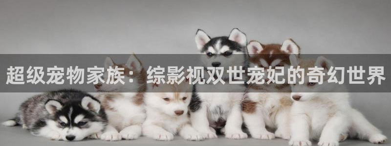 人生之路免费高清观看西瓜