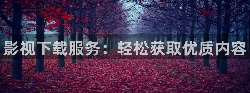 西瓜视频历史旧版本：影视下载服务：轻松获取优质内容