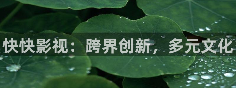 西瓜视频免费版：快快影视：跨界创新，多元文化